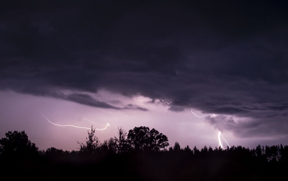 Photograph by Sandra