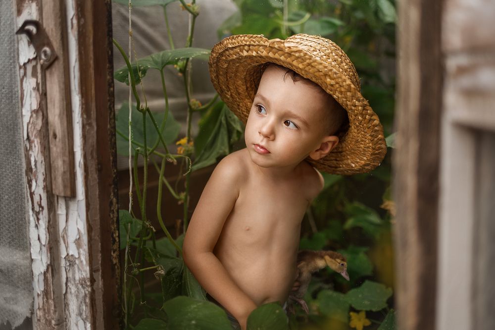 Пушистый подарок