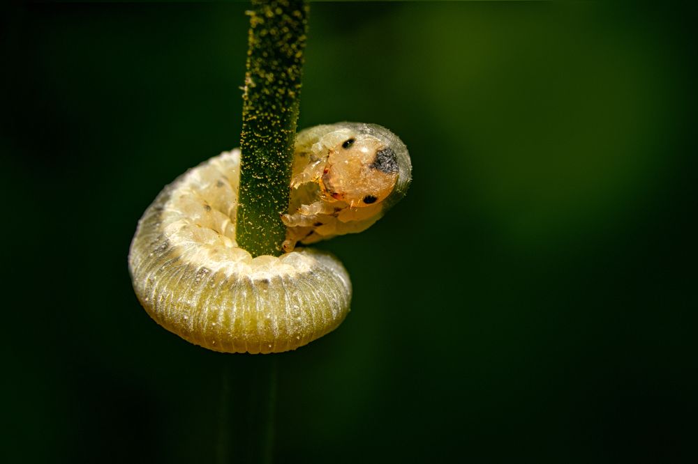 Photograph by Александр Горский