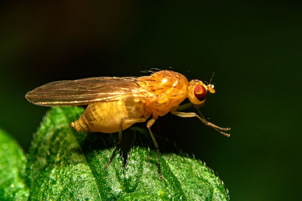 Photograph by Александр Горский