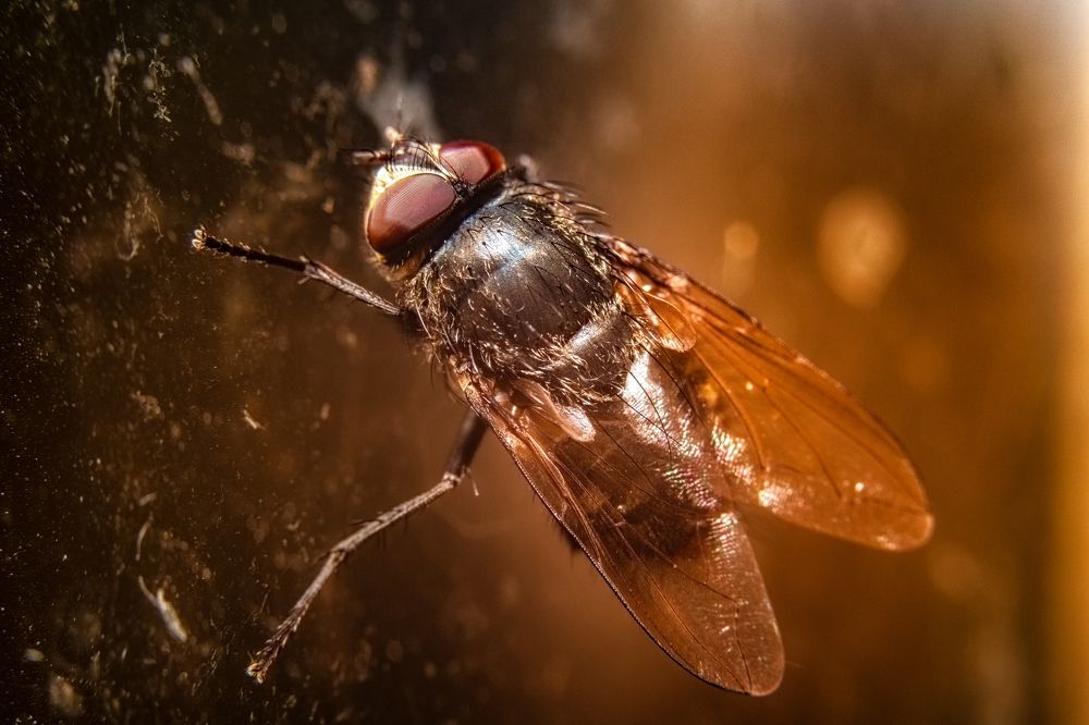 Photograph by Александр Горский