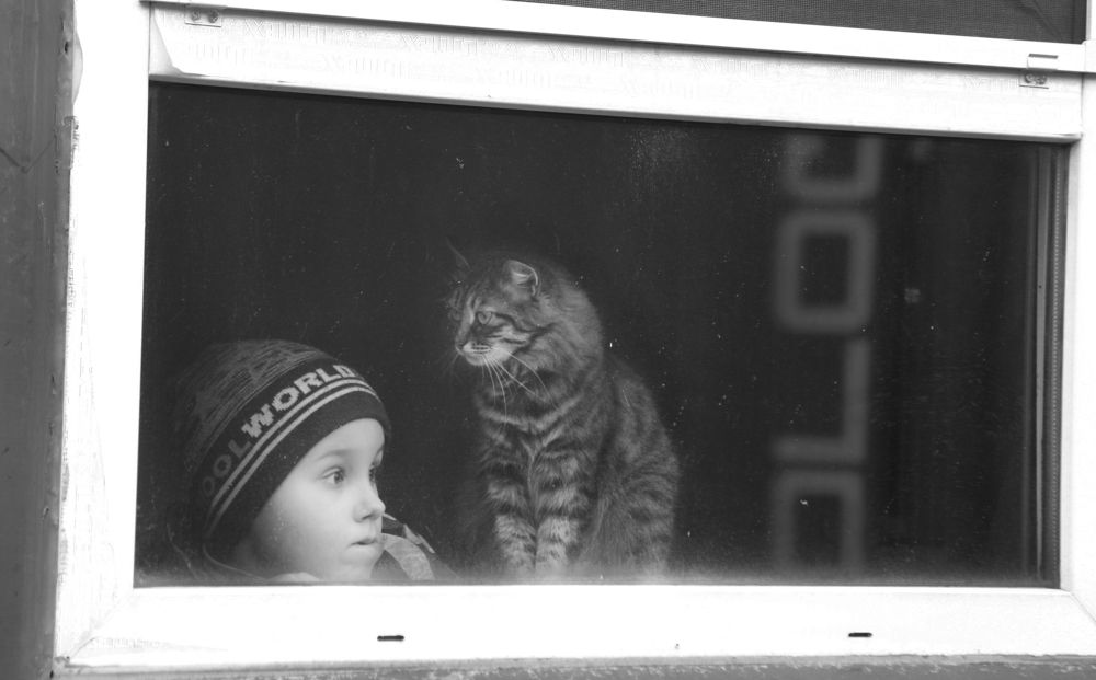 Photograph by Андрей Щербинин