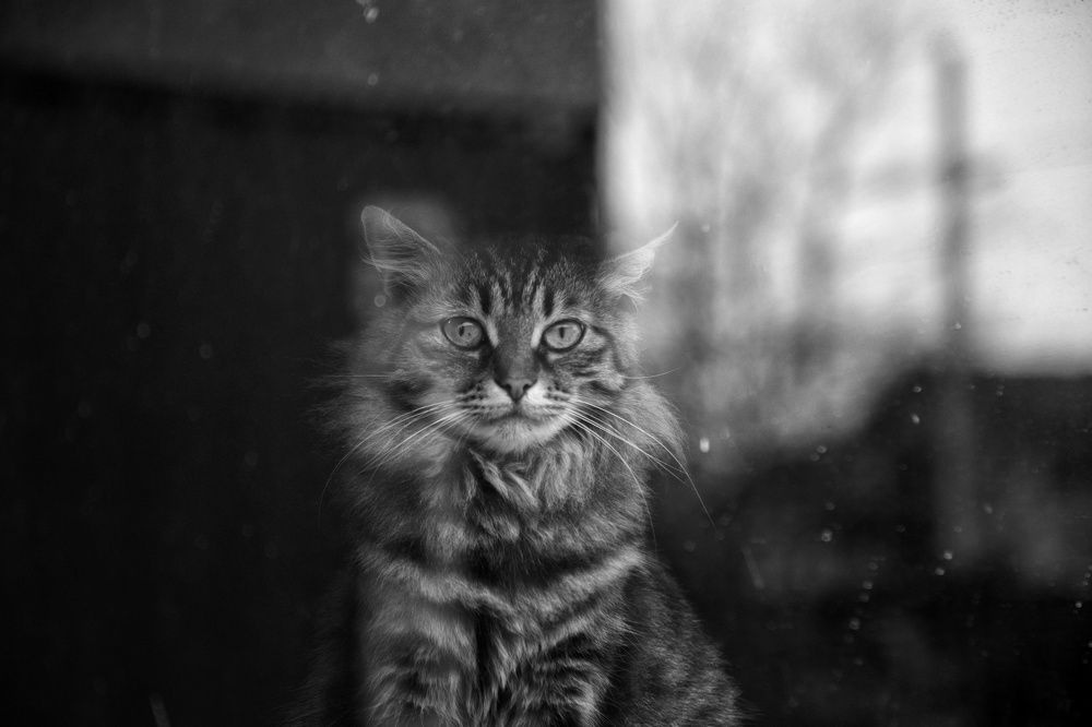 Photograph by Андрей Щербинин