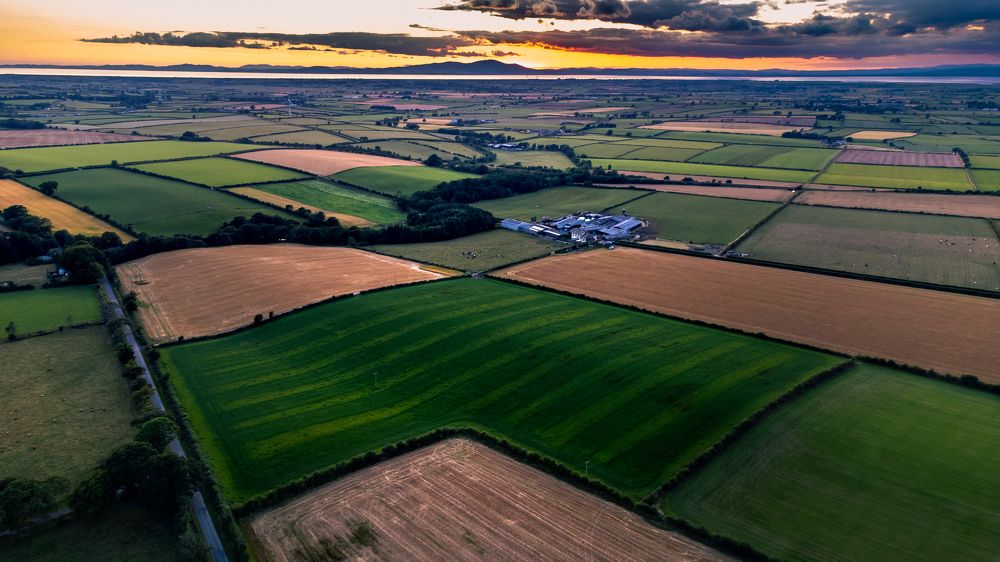 Photograph by Nerijus Siusa