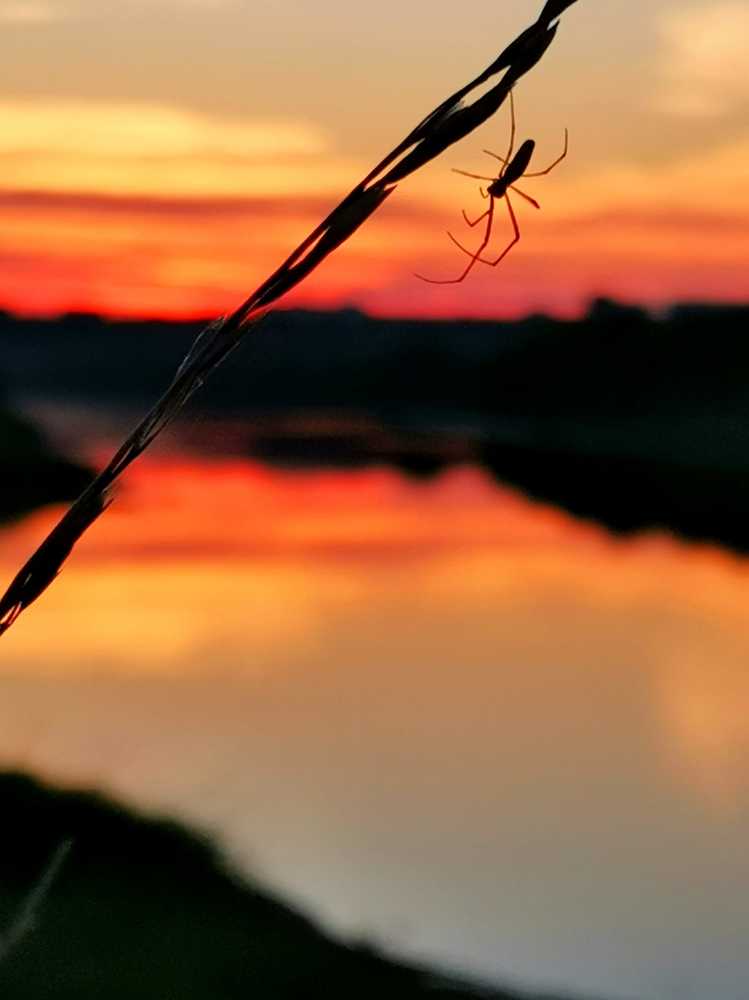 Рассвет над Днепром