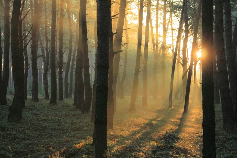 Третье мгновение осени