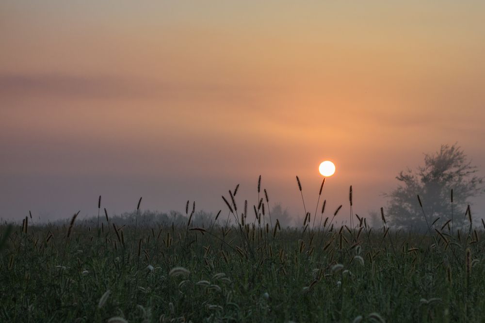Photograph by Сергей Зуденко