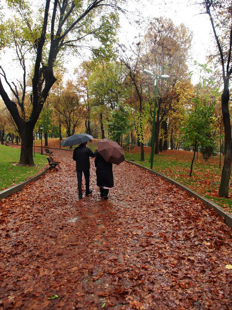 Photograph by Abdolreza Aleagha