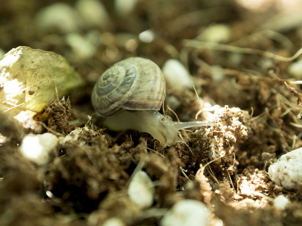 Photograph by Abdolreza Aleagha