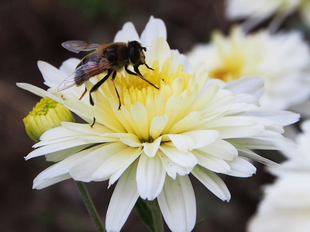 Photograph by Abdolreza Aleagha