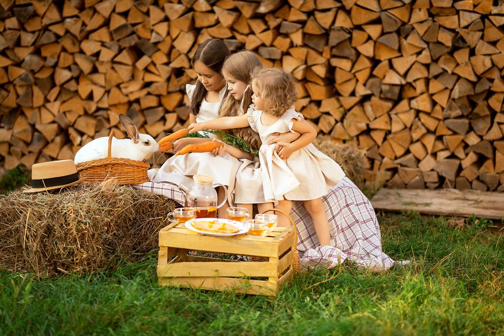 Photograph by Ольга Тимофеева