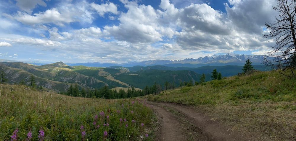 Фотография автора галина лапшина