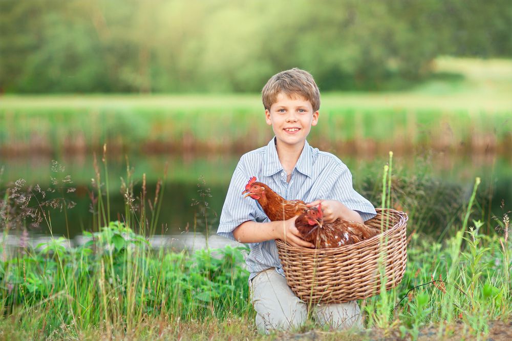 Photograph by Любовь