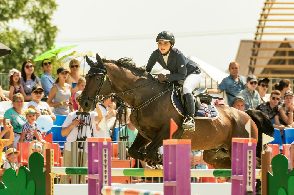 Фотография автора Александр Рудный