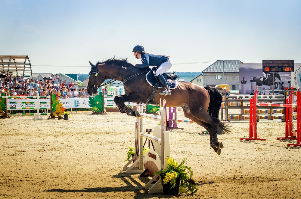 Фотография автора Александр Рудный