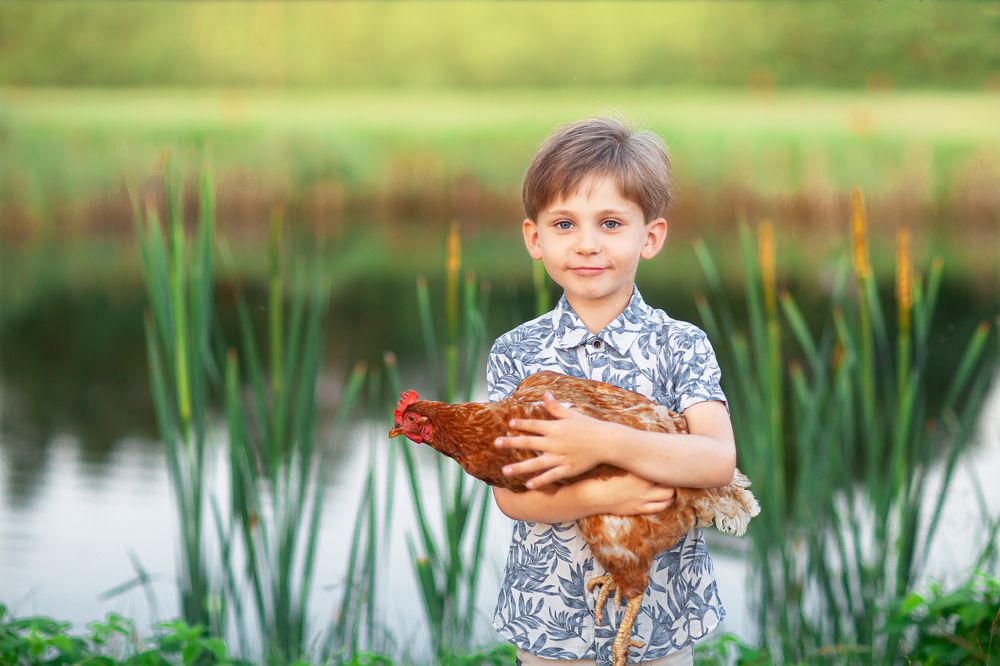 Photograph by Любовь