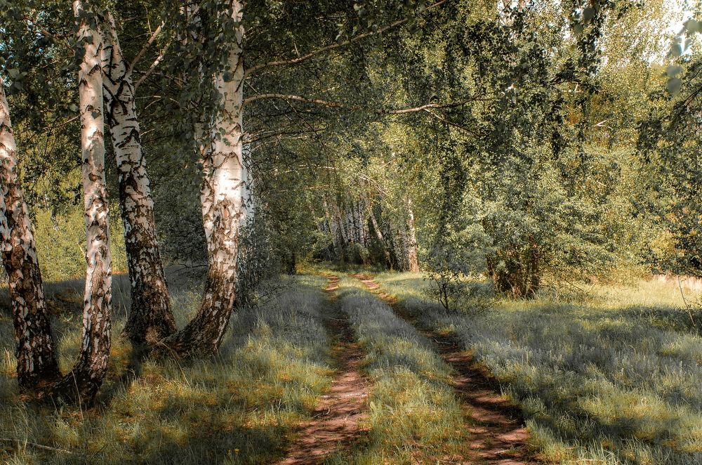 Photograph by Чурляев Максим