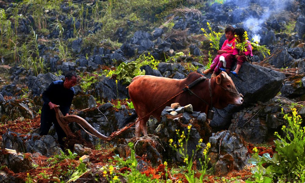 Photograph by DINH NGUYEN HUU