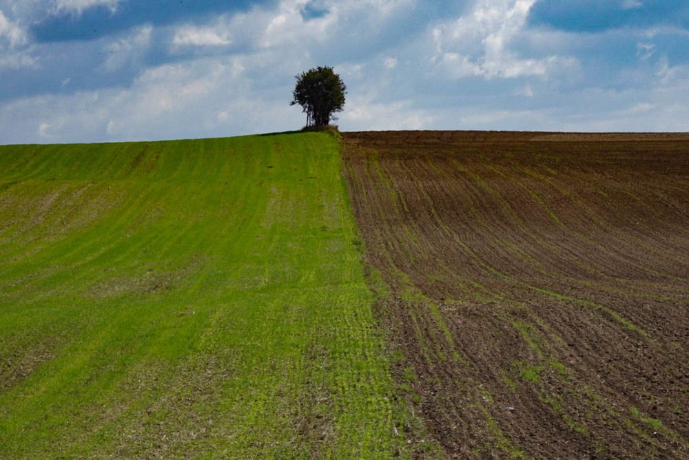 Photograph by Magdalena Wysztygiel