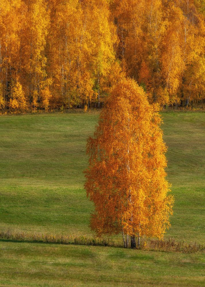 Photograph by Евгений Гецев