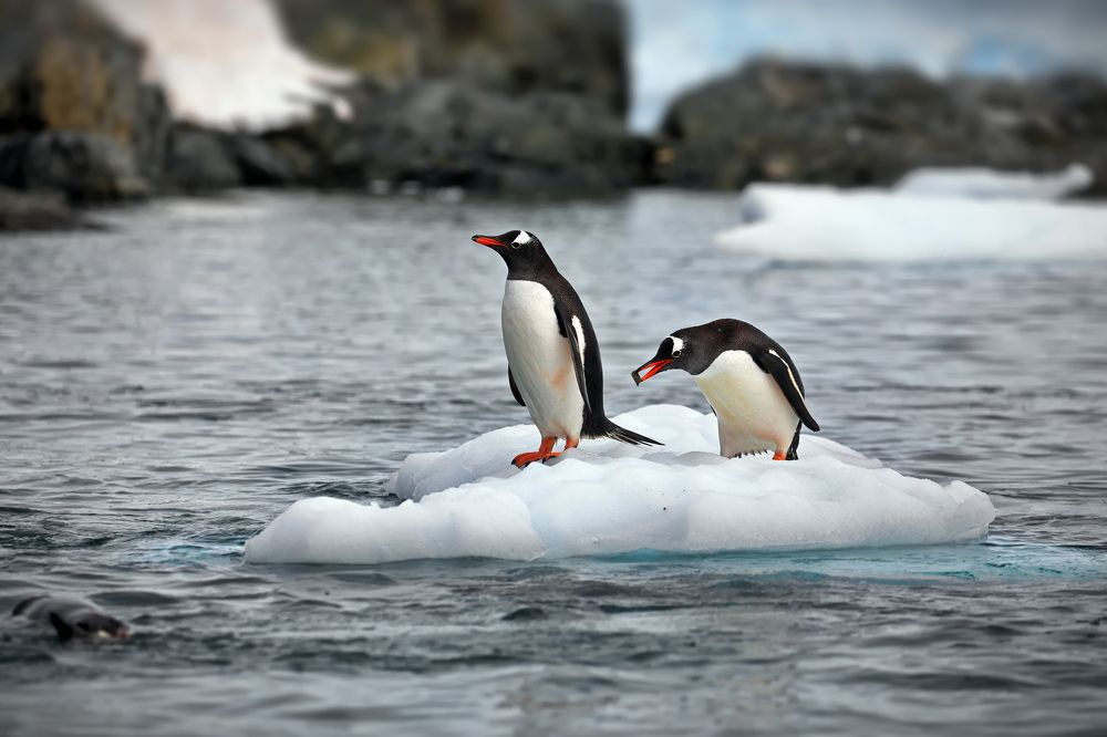 Камушек для любимой