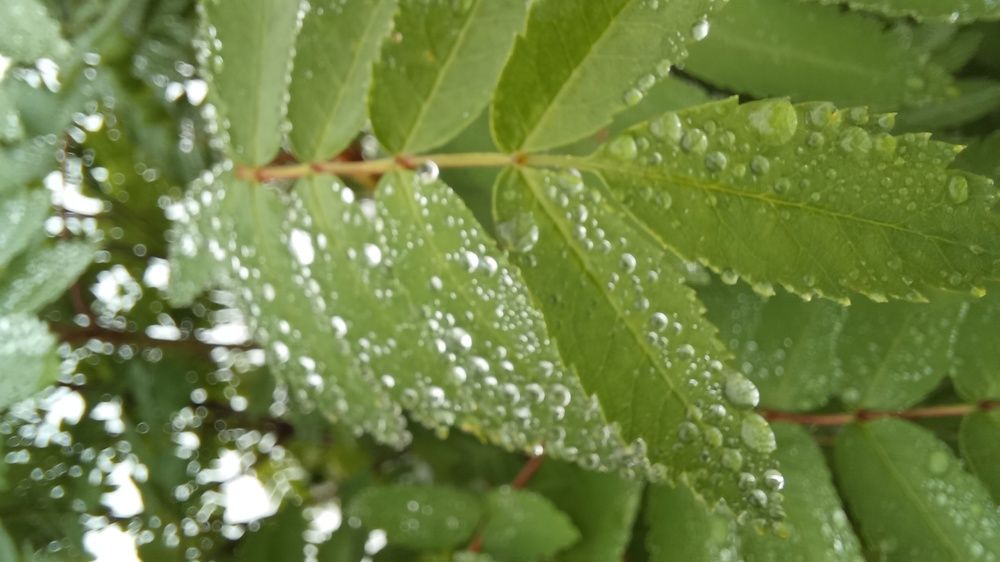 Фотография автора Евгения Зайцева