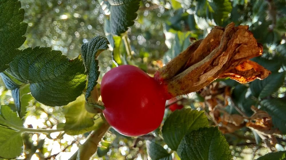 Фотография автора Евгения Зайцева