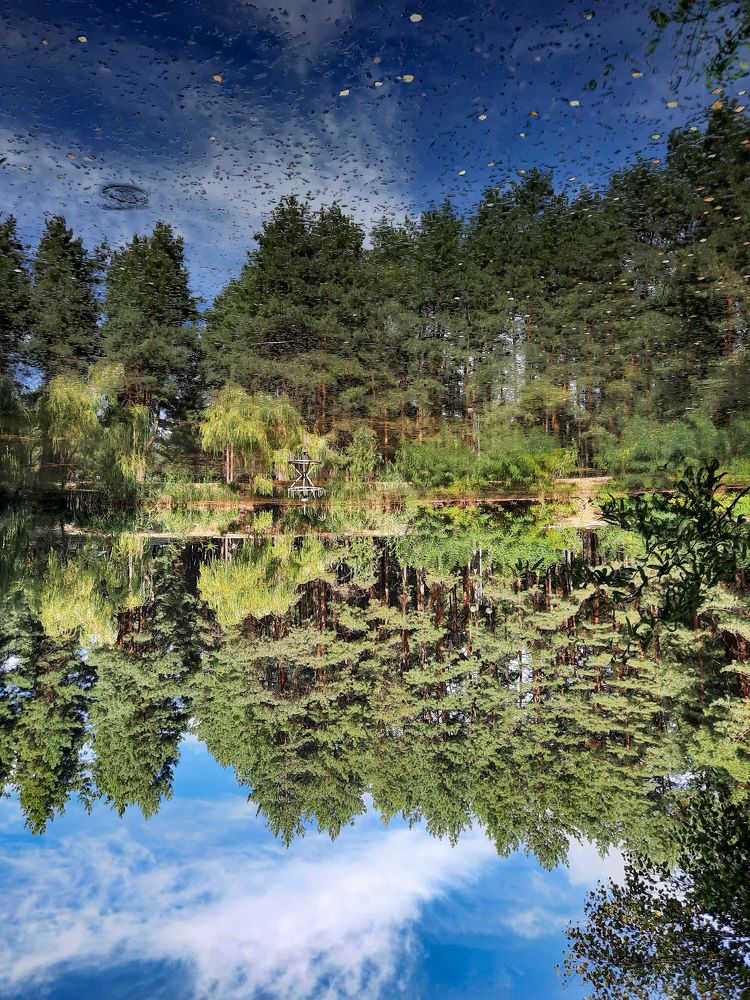 Фотография автора Ирина Якущенко