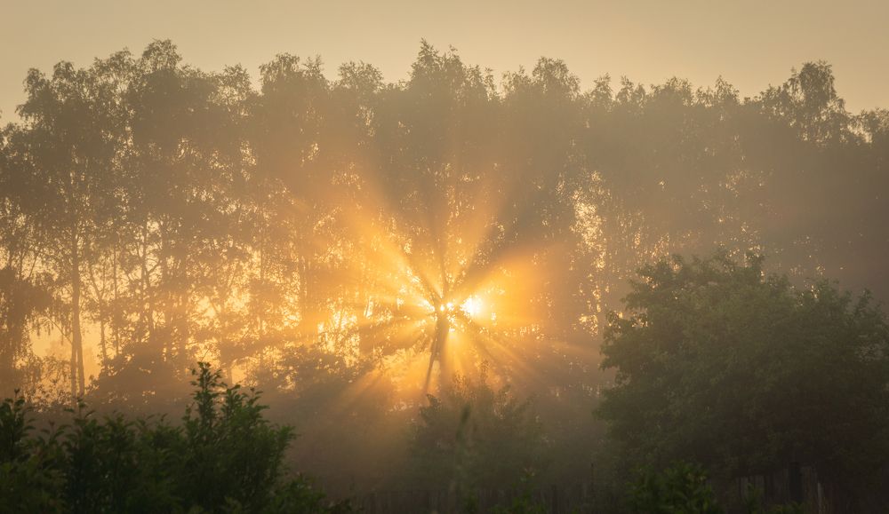 Photograph by Romanov Denis