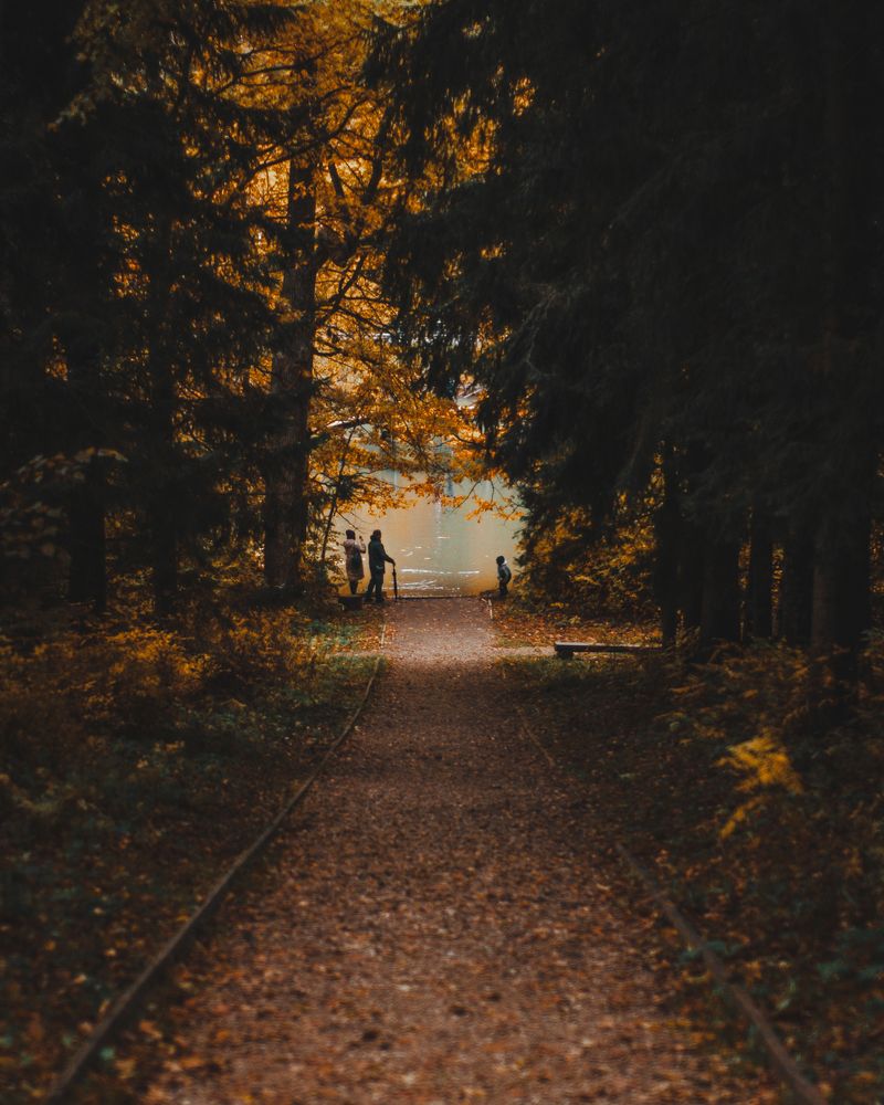 Фотография автора Николай Николин