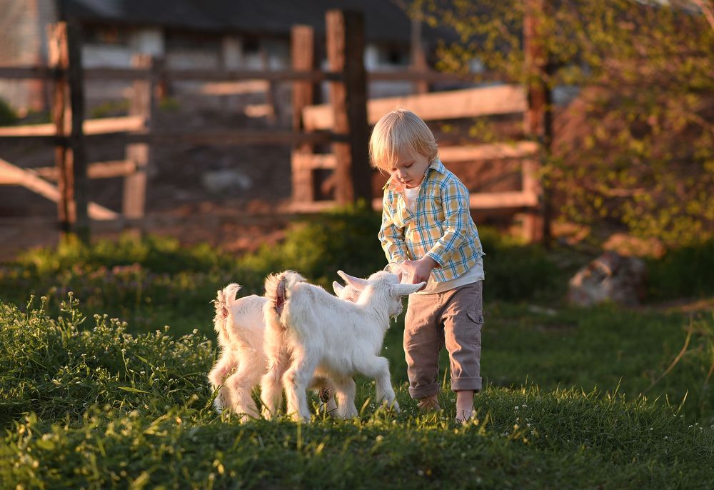 Photograph by Екатерина Рязанова