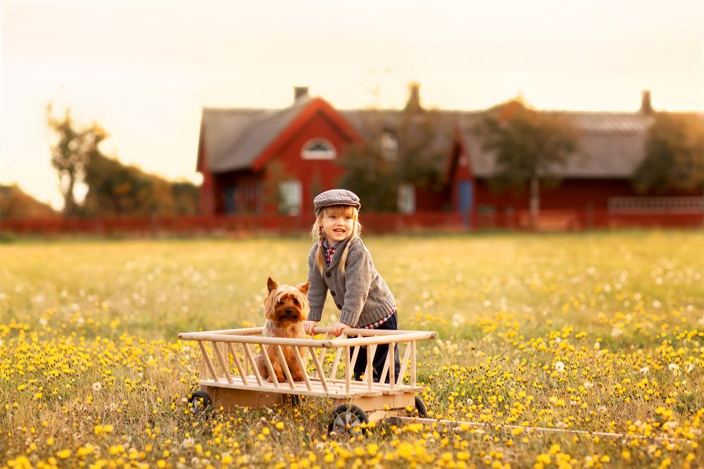 Photograph by Любовь