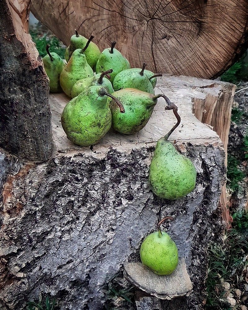 Photograph by Гельфман Галина