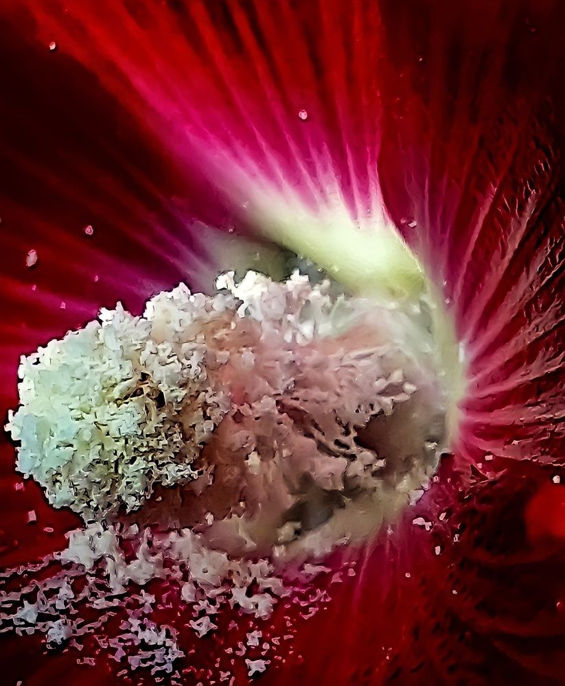 Photograph by Гельфман Галина