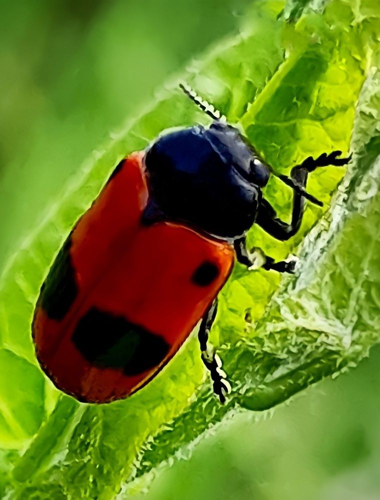 Photograph by Гельфман Галина