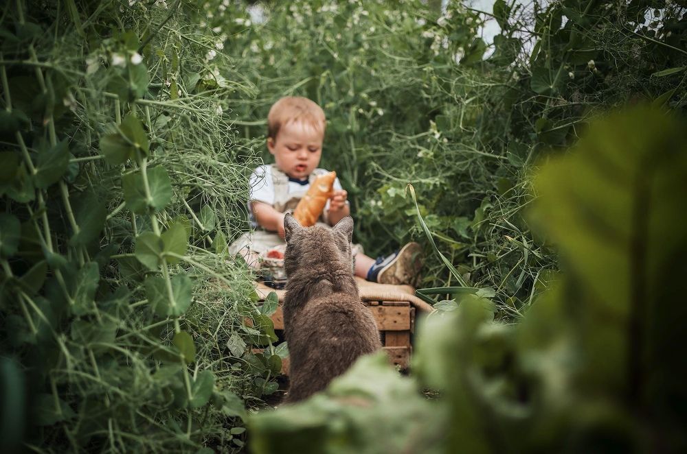 Photograph by Svetlana