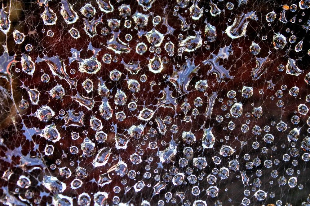 Photograph by Денис Лащ