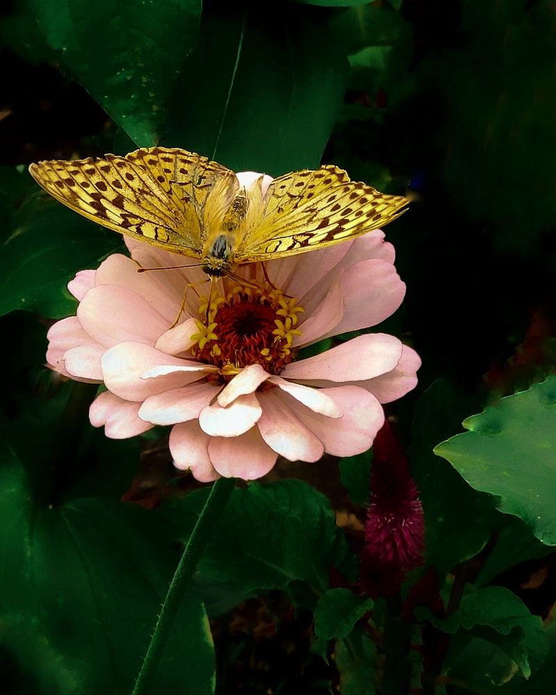 Photograph by Светлана Смирнова