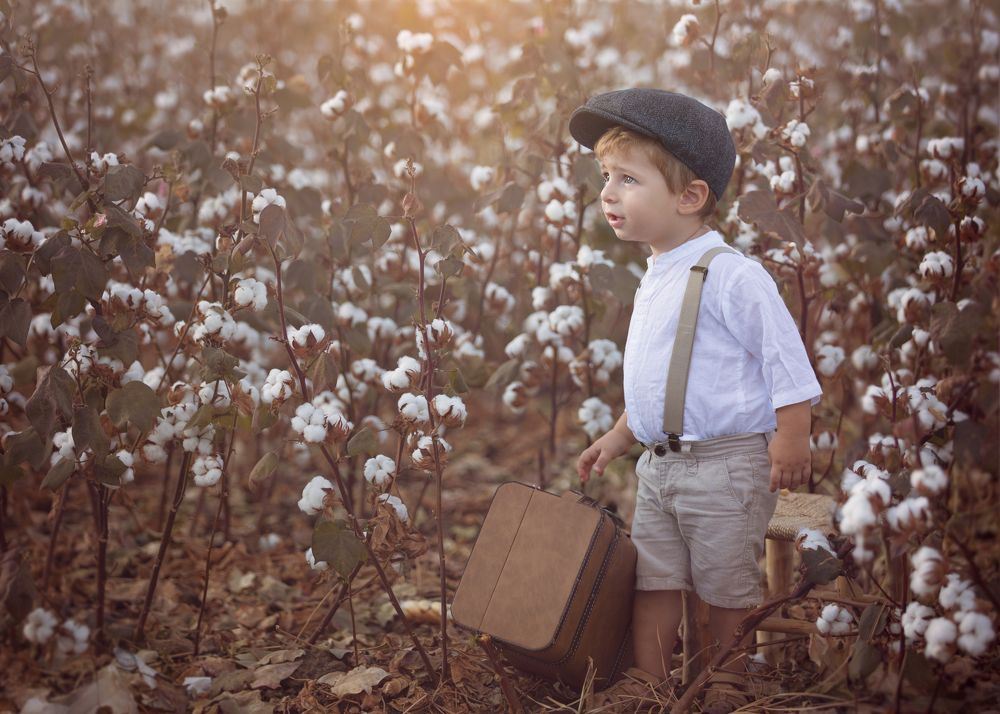 Photograph by Hamutal Avioz