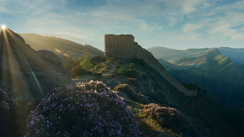 Photograph by Алексей Курочкин