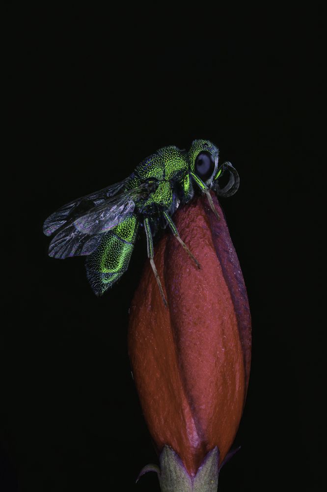 Фотография автора sherif Abdallah