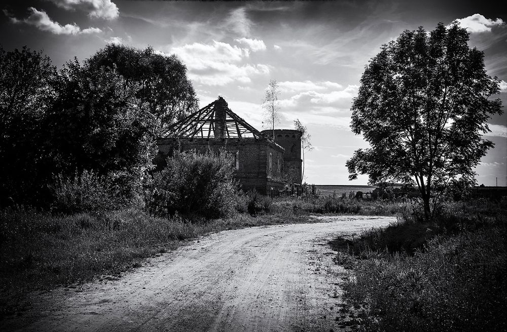 Фотография автора Андрей Янковский