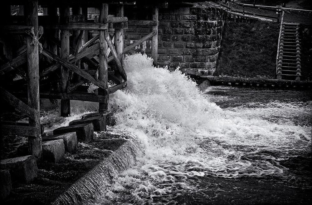 Фотография автора Андрей Янковский