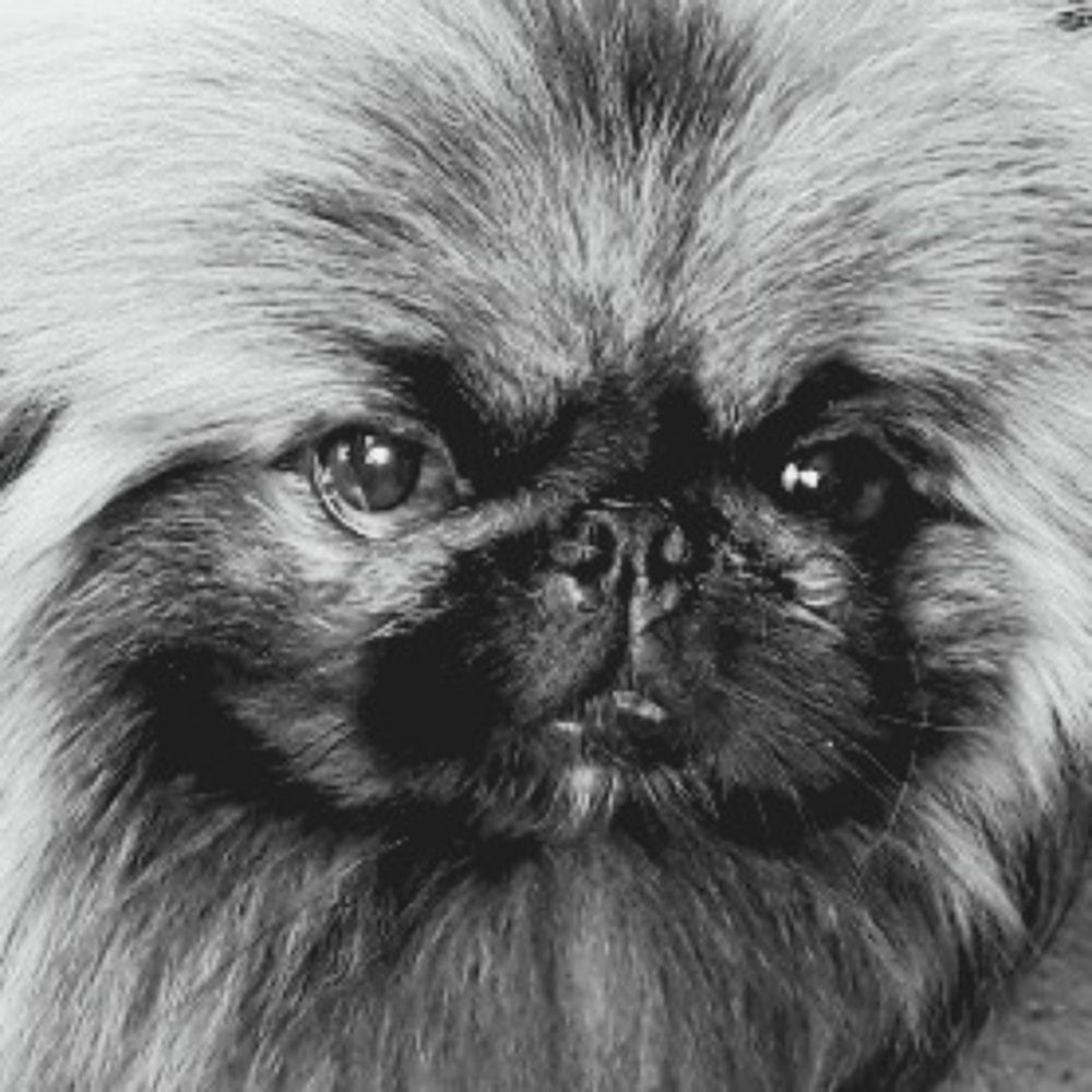 Смотрю в тебя