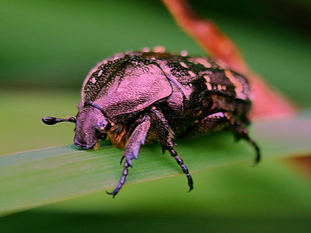 Фотография автора АЛЕКСАНДР ЦЫГЕЛЬНЮК