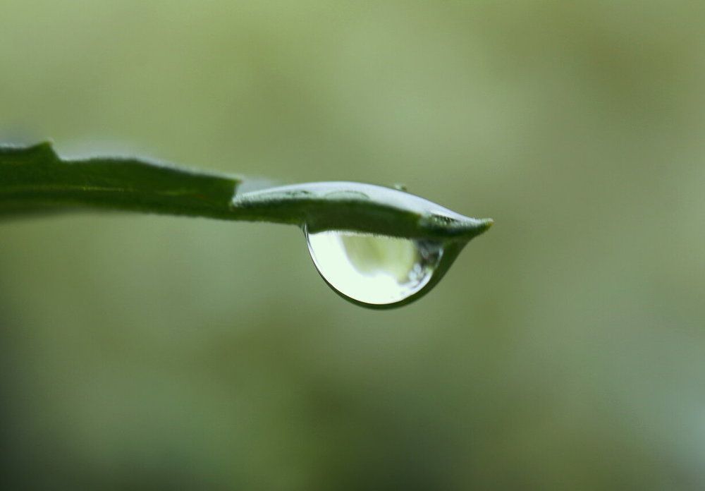 Фотография автора АЛЕКСАНДР ЦЫГЕЛЬНЮК