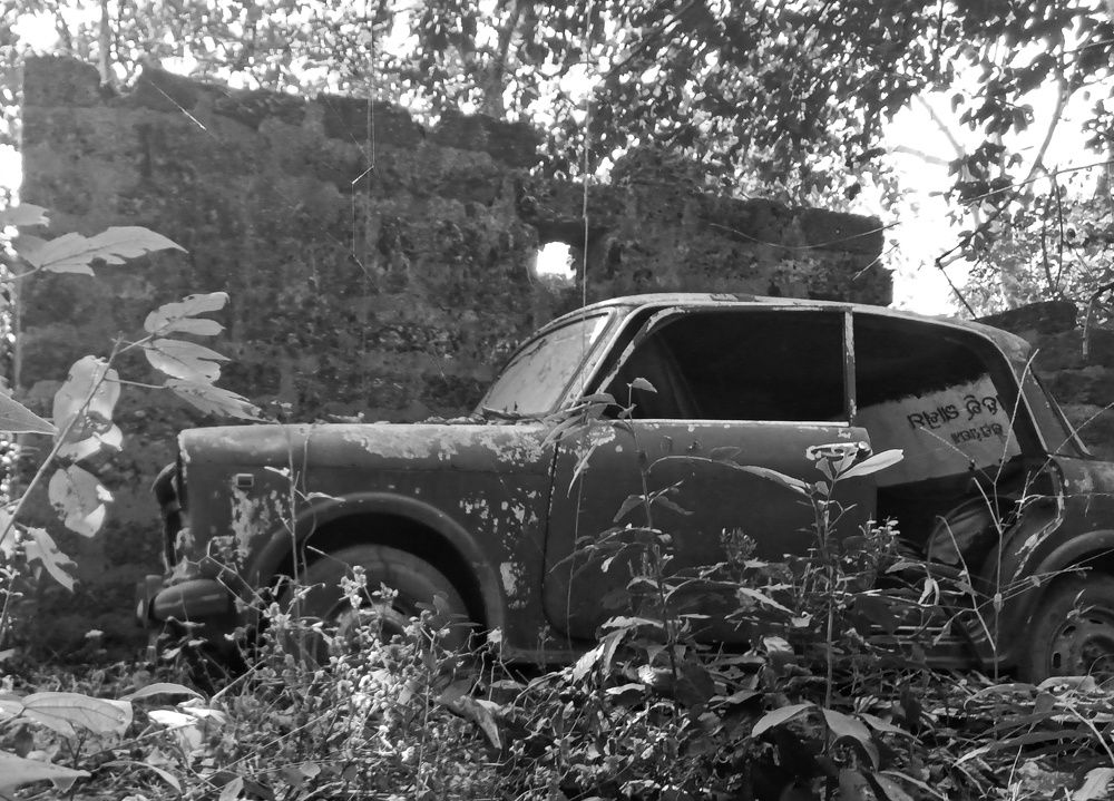 Photograph by Sarveswar Biswal