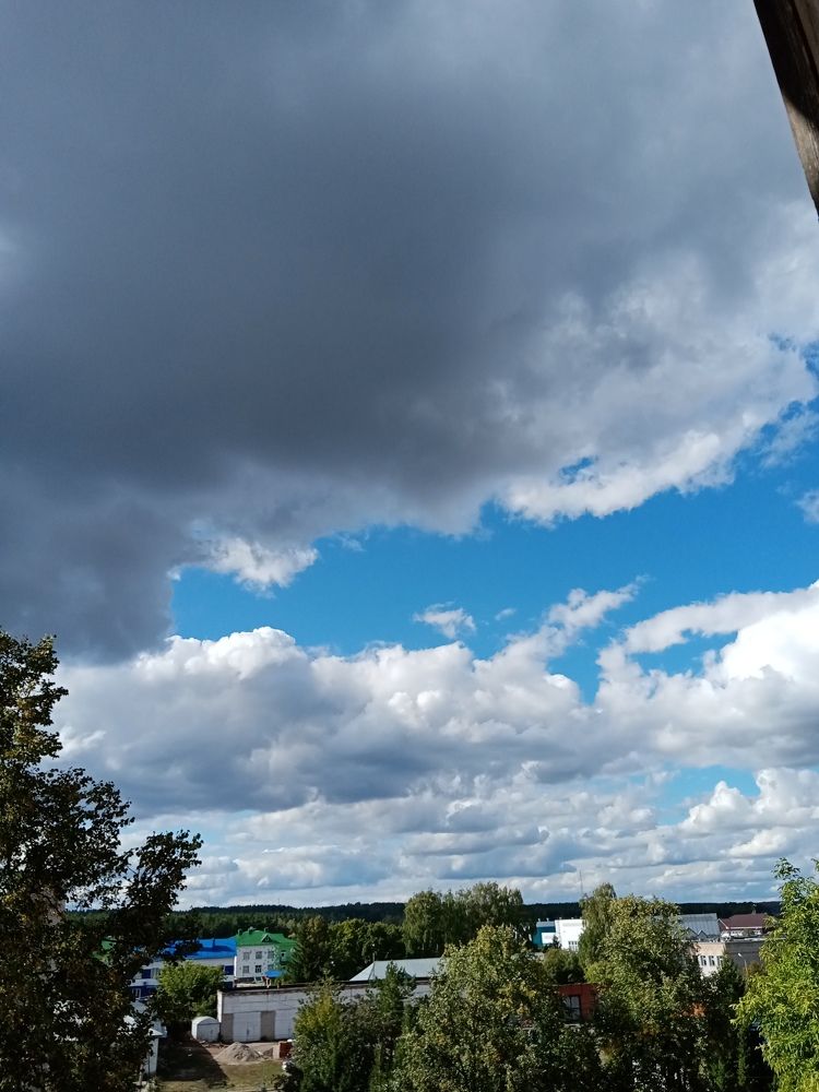 Photo #6476059
