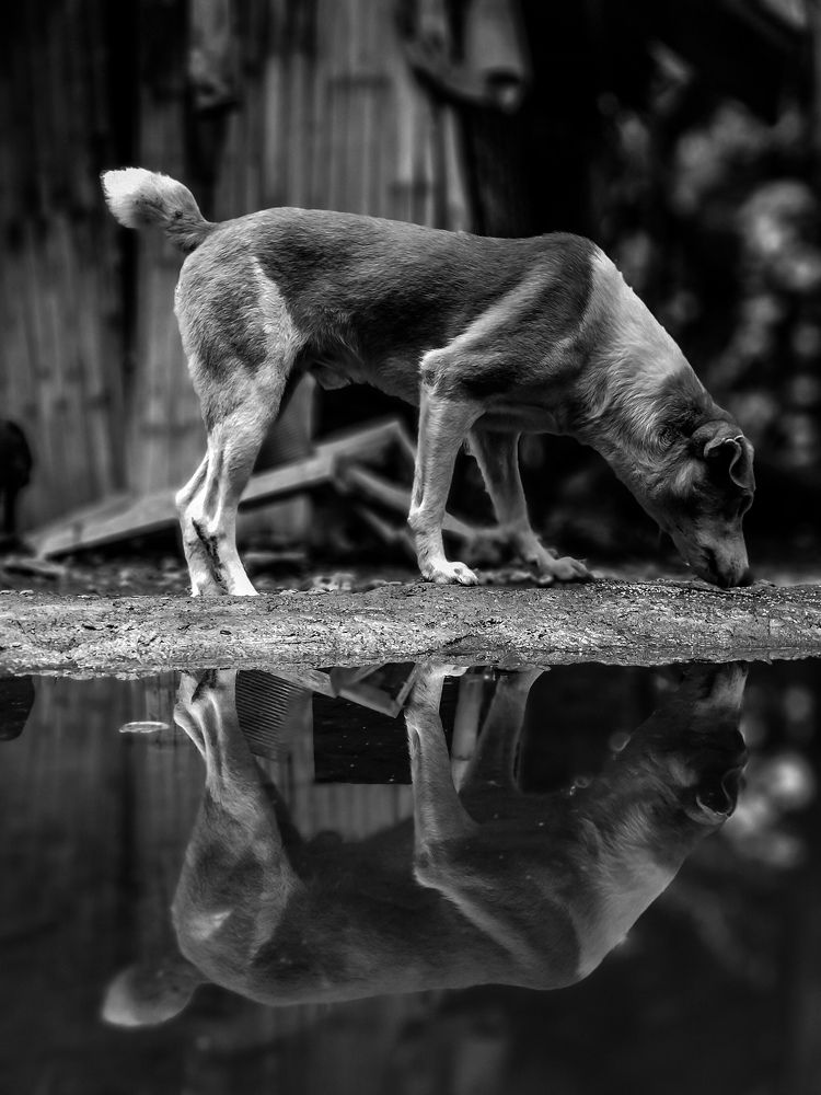 Photograph by Jhelyn Nobe Antonio