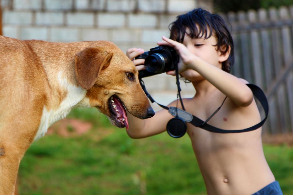 Photograph by Tatiana Barthem